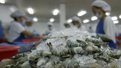Xuất khẩu tôm Việt sang 3 thị trường chính khả quan hơn trong năm 2020