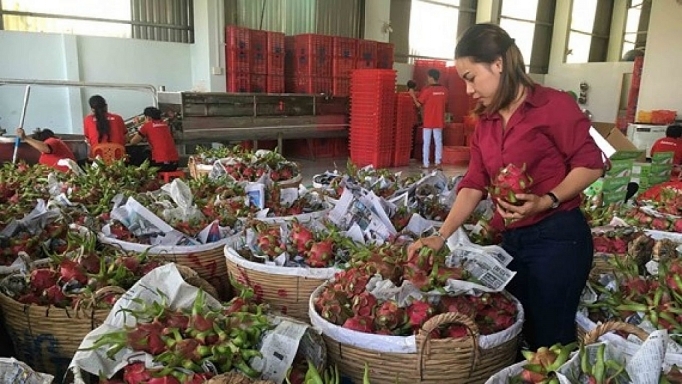 Bộ Công Thương đưa ra biện pháp hỗ trợ và khuyến cáo trong xuất khẩu nông sản