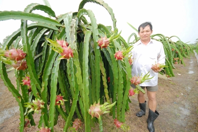 Giá nông sản tăng trở lại