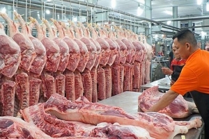Bộ Công Thương: Cân đối nguồn cung thịt lợn, góp phần bình ổn thị trường